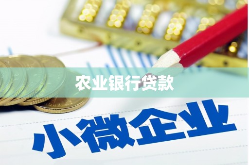 玄武农业银行贷款