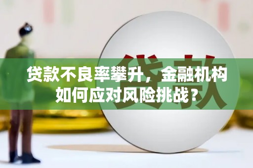 玄武贷款不良率攀升，金融机构如何应对风险挑战？