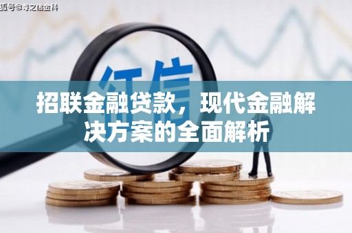 玄武招联金融贷款，现代金融解决方案的全面解析