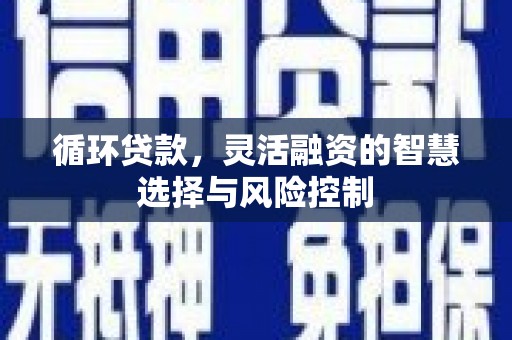 玄武循环贷款，灵活融资的智慧选择与风险控制