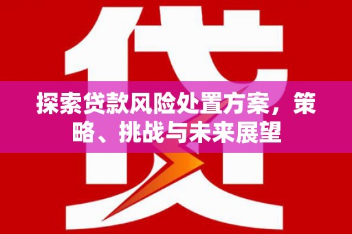 玄武探索贷款风险处置方案，策略、挑战与未来展望