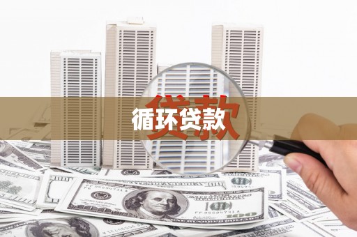 玄武循环贷款