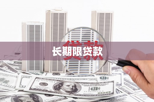 玄武长期限贷款