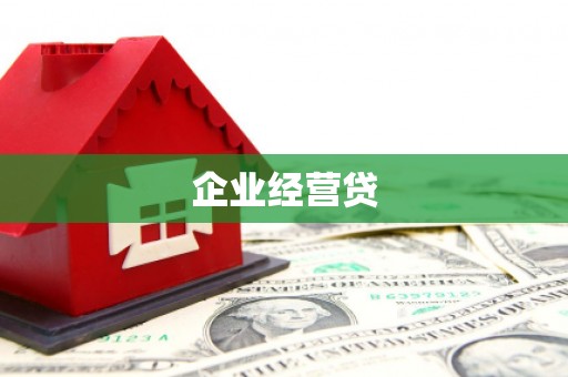 玄武企业经营贷
