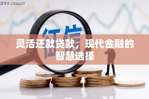 玄武灵活还款贷款，现代金融的智慧选择