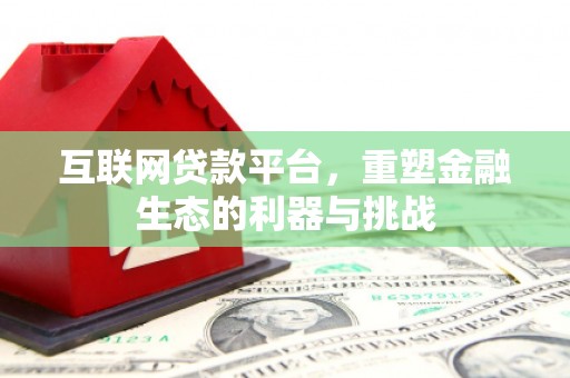 玄武互联网贷款平台，重塑金融生态的利器与挑战
