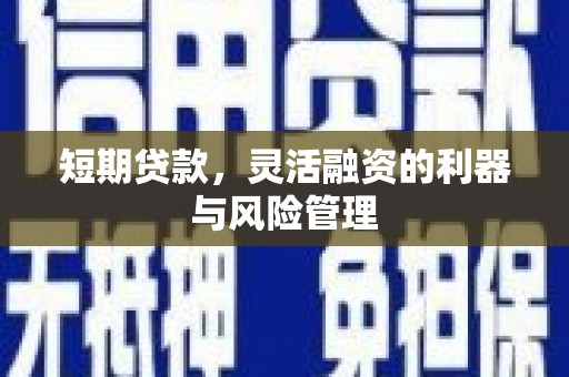 玄武短期贷款，灵活融资的利器与风险管理