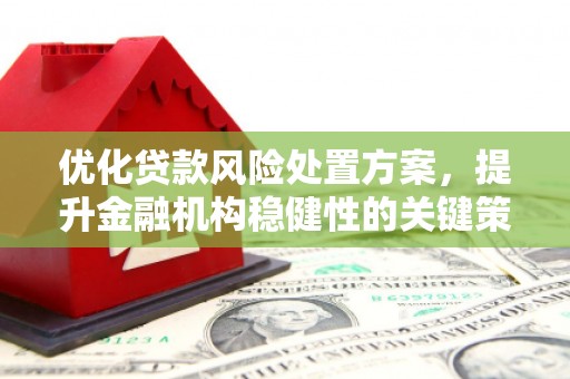 玄武优化贷款风险处置方案，提升金融机构稳健性的关键策略