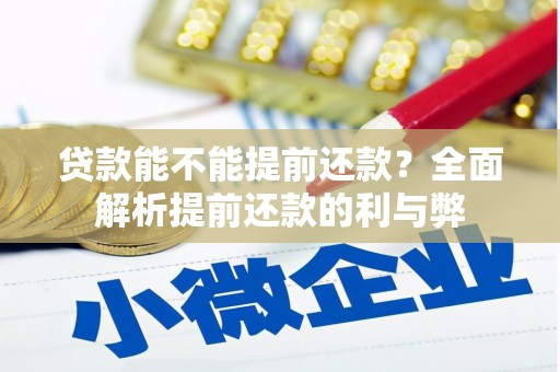玄武贷款能不能提前还款？全面解析提前还款的利与弊