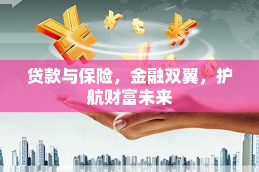 玄武贷款与保险，金融双翼，护航财富未来