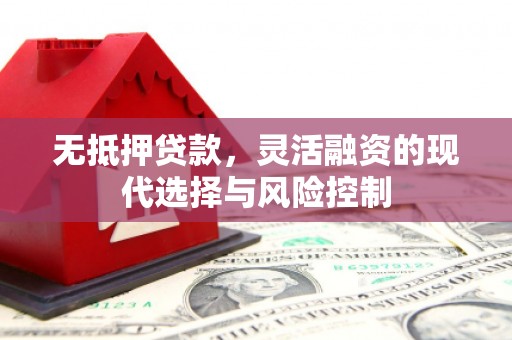 玄武无抵押贷款，灵活融资的现代选择与风险控制
