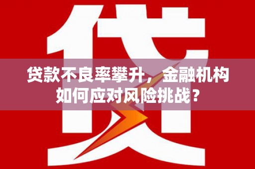玄武贷款不良率攀升，金融机构如何应对风险挑战？