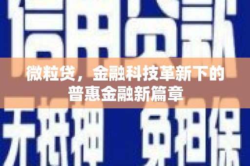 玄武微粒贷，金融科技革新下的普惠金融新篇章