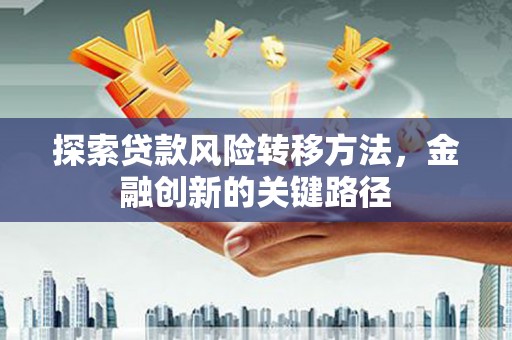 玄武探索贷款风险转移方法，金融创新的关键路径