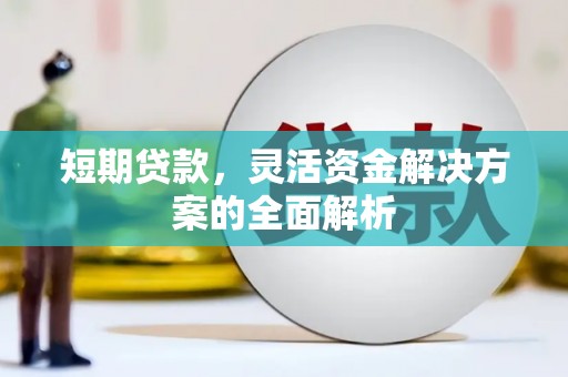 玄武短期贷款，灵活资金解决方案的全面解析