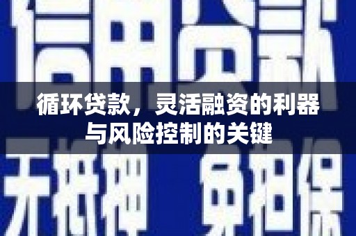 玄武循环贷款，灵活融资的利器与风险控制的关键