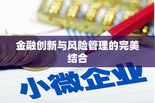 玄武金融创新与风险管理的完美结合