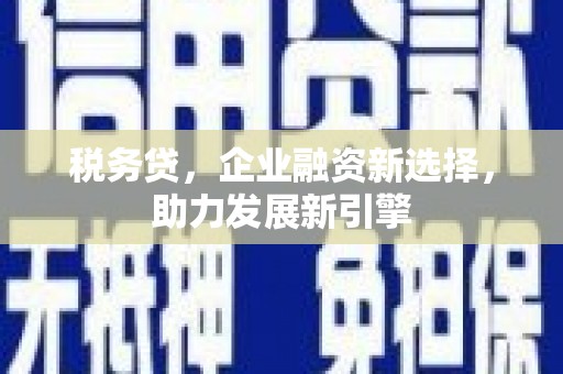 玄武税务贷，企业融资新选择，助力发展新引擎