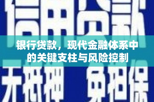 玄武银行贷款，现代金融体系中的关键支柱与风险控制