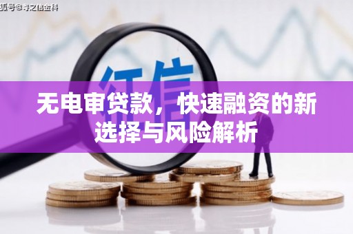 玄武无电审贷款，快速融资的新选择与风险解析