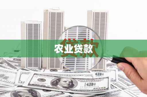 玄武农业贷款