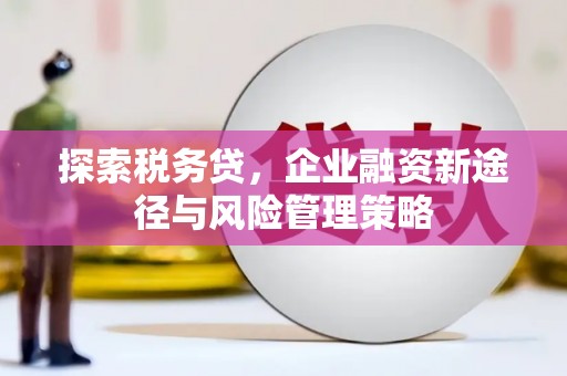 玄武探索税务贷，企业融资新途径与风险管理策略