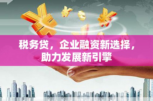 玄武税务贷，企业融资新选择，助力发展新引擎