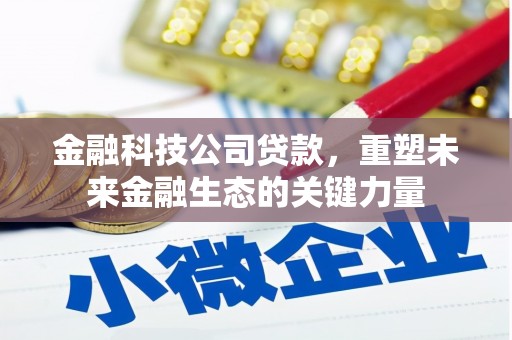 玄武金融科技公司贷款，重塑未来金融生态的关键力量