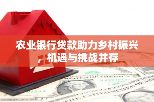 玄武农业银行贷款助力乡村振兴，机遇与挑战并存