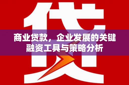 玄武商业贷款，企业发展的关键融资工具与策略分析