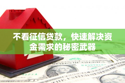 玄武不看征信贷款，快速解决资金需求的秘密武器