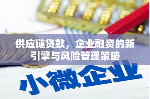 玄武供应链贷款，企业融资的新引擎与风险管理策略