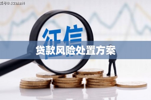 玄武贷款风险处置方案