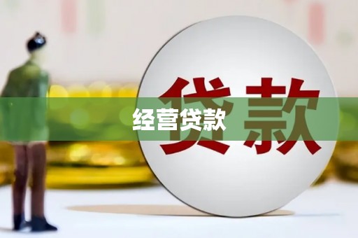 玄武经营贷款