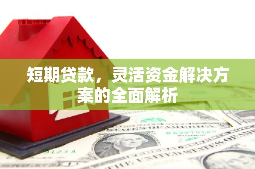 玄武短期贷款，灵活资金解决方案的全面解析