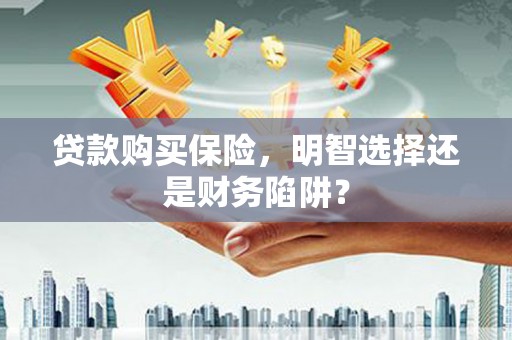 玄武贷款购买保险，明智选择还是财务陷阱？