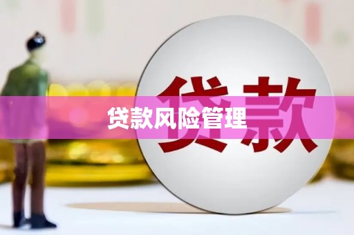 玄武贷款风险管理