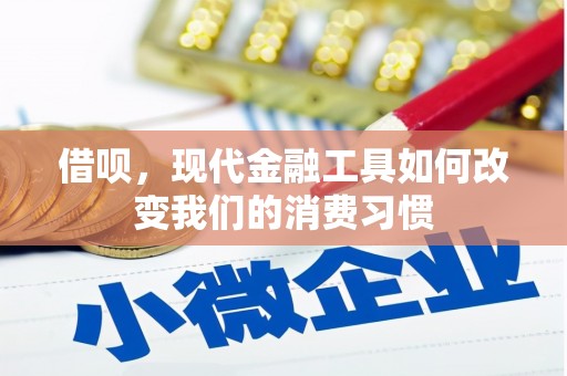 玄武借呗，现代金融工具如何改变我们的消费习惯