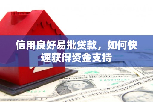 玄武信用良好易批贷款，如何快速获得资金支持