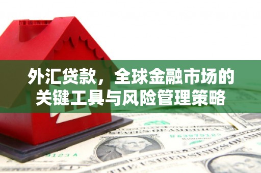 玄武外汇贷款，全球金融市场的关键工具与风险管理策略