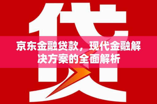 玄武京东金融贷款，现代金融解决方案的全面解析