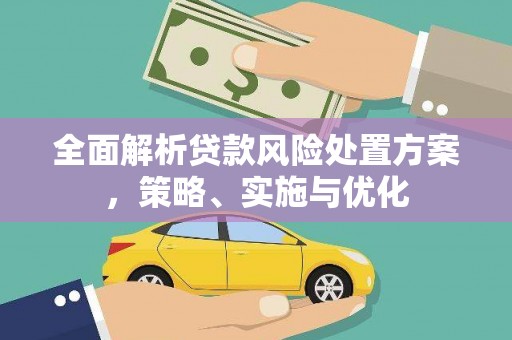 玄武全面解析贷款风险处置方案，策略、实施与优化