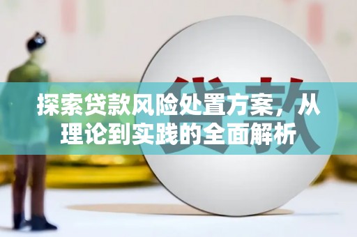 玄武探索贷款风险处置方案，从理论到实践的全面解析