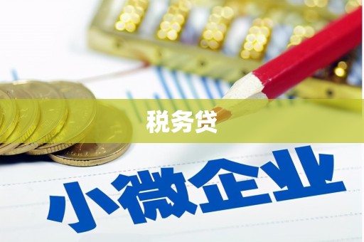 玄武税务贷
