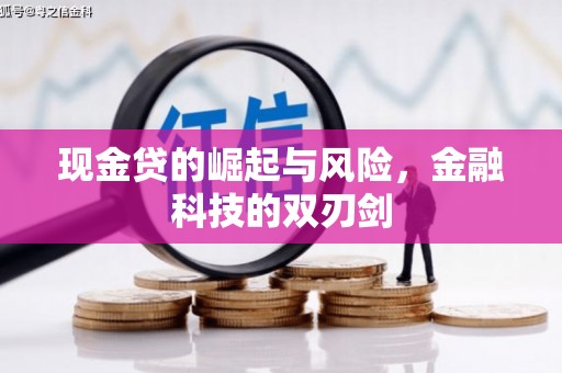 玄武现金贷的崛起与风险，金融科技的双刃剑