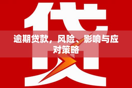 玄武逾期贷款，风险、影响与应对策略