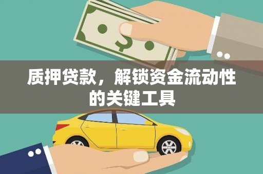 玄武质押贷款，解锁资金流动性的关键工具