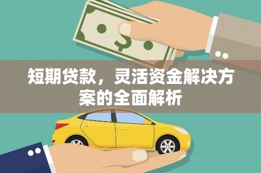 玄武短期贷款，灵活资金解决方案的全面解析