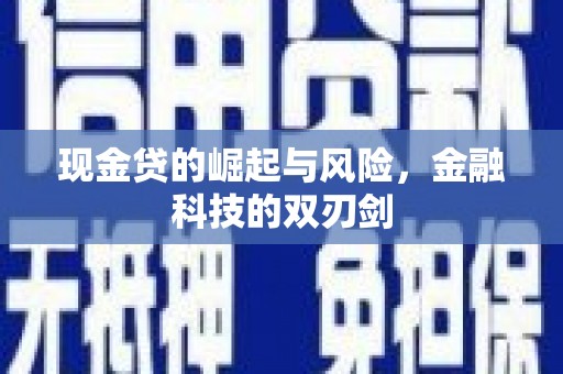 玄武现金贷的崛起与风险，金融科技的双刃剑