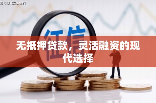 玄武无抵押贷款，灵活融资的现代选择